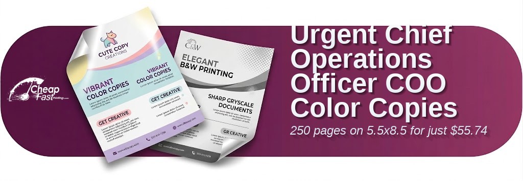 250 Urgent 5.5x8.5 65lb Cover Chief Operations Officer Coo Color Copies