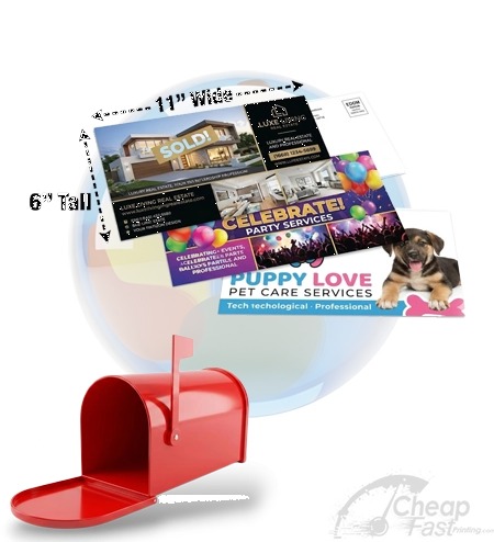 6x11 Best Selling Jumbo Eddm Eligible Mailer