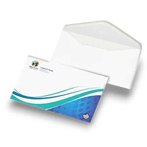 Professional envelope printing